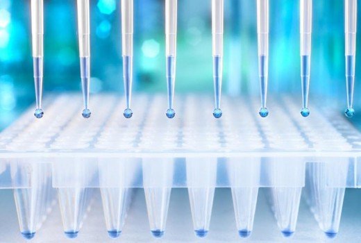 Typy vzoriek na DNA test