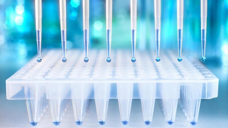 Typy vzoriek na DNA test